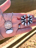 Buffalo Nickel and White Buffalo