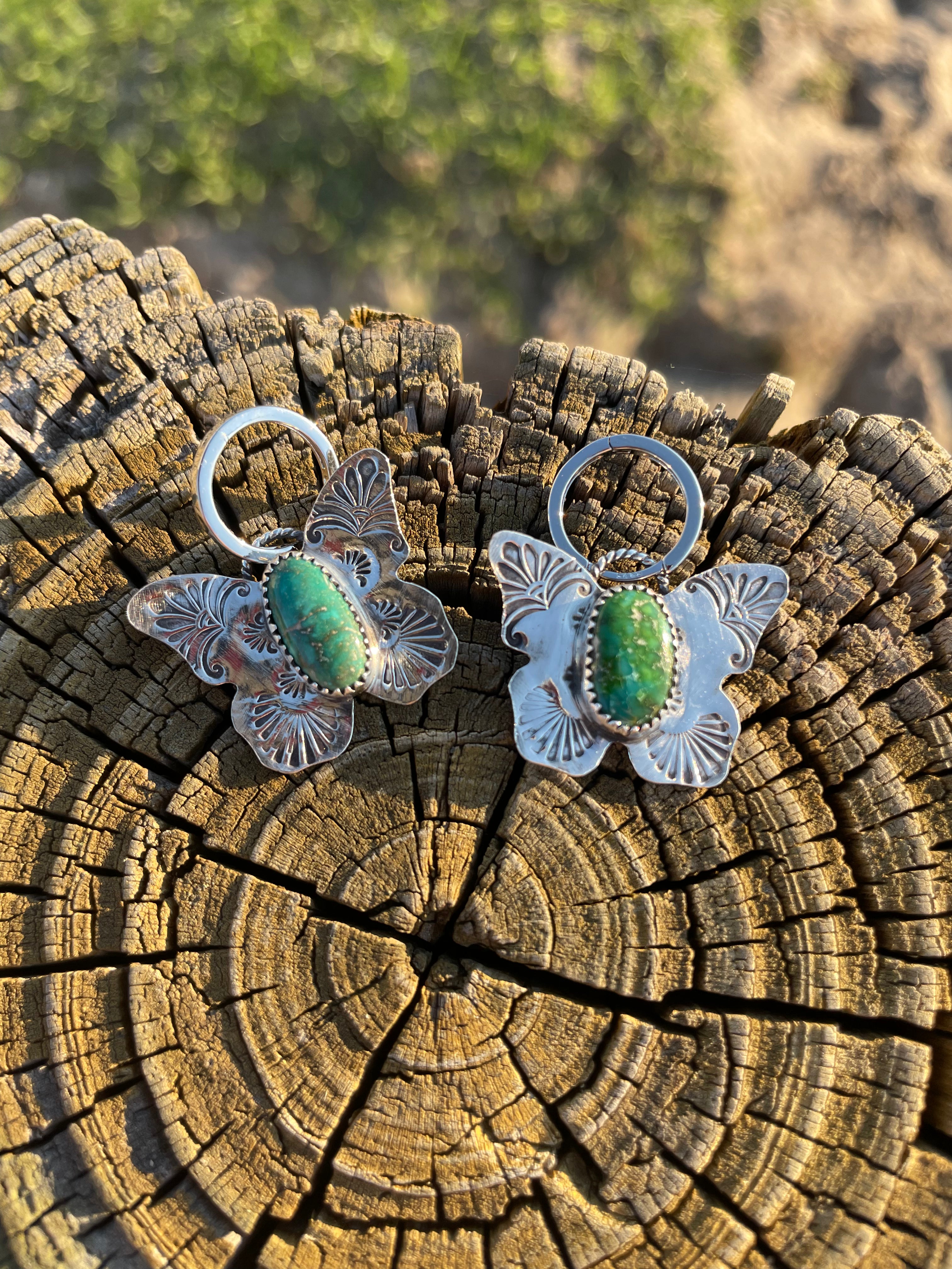 Sonoran butterflies