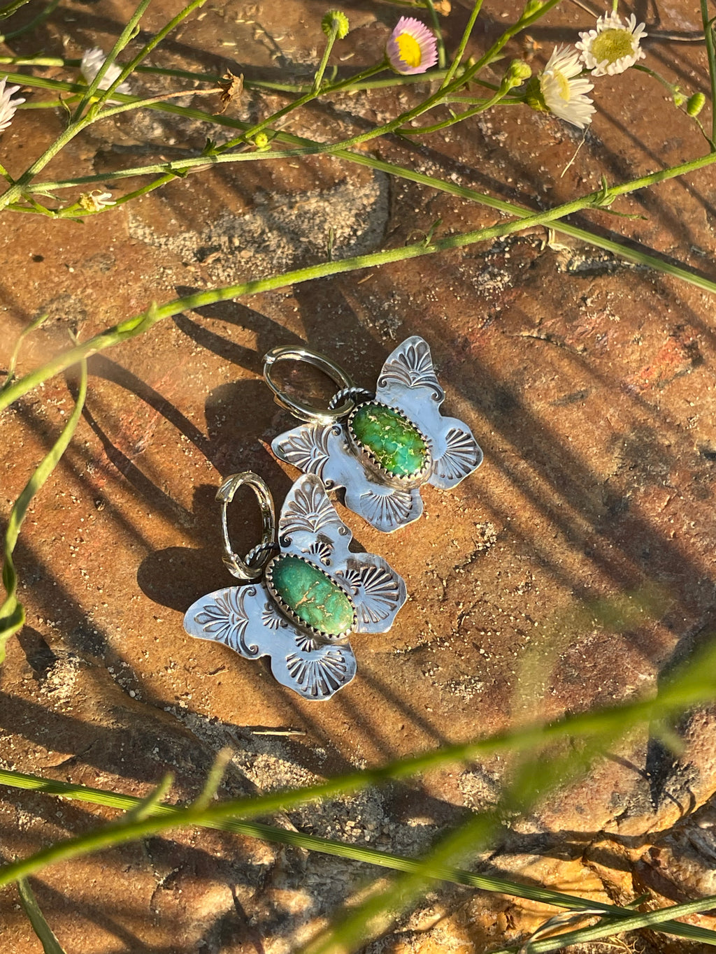 Sonoran butterflies
