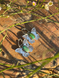 Sonoran butterflies